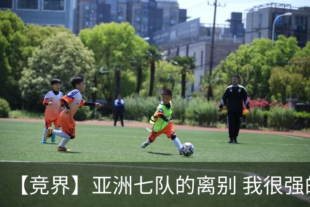 【竞界】亚洲七队的离别 我很强的幻觉破灭
