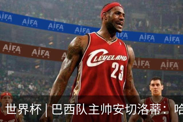世界杯 | 巴西队主帅安切洛蒂：哈兰德决定了比赛胜负