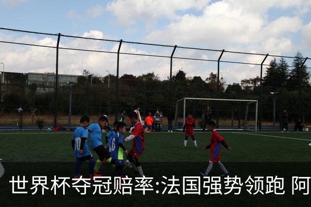 世界杯夺冠赔率:法国强势领跑 阿根廷不受看好