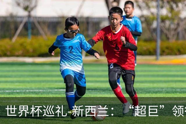 世界杯巡礼-新西兰：“超巨”领衔平民军团，小组突围不是梦！