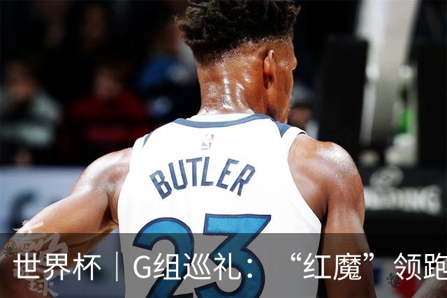 世界杯｜G组巡礼：“红魔”领跑，三队逐鹿