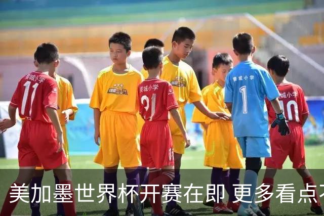 美加墨世界杯开赛在即 更多看点不容错过