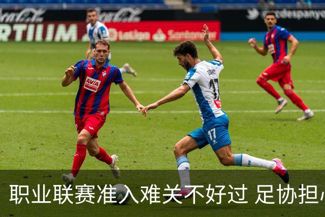 职业联赛准入难关不好过 足协担心并不是多余