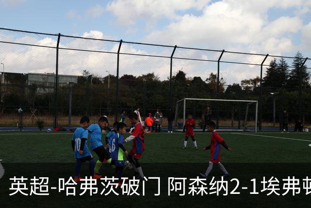 英超-哈弗茨破门 阿森纳2-1埃弗顿屈居亚军
