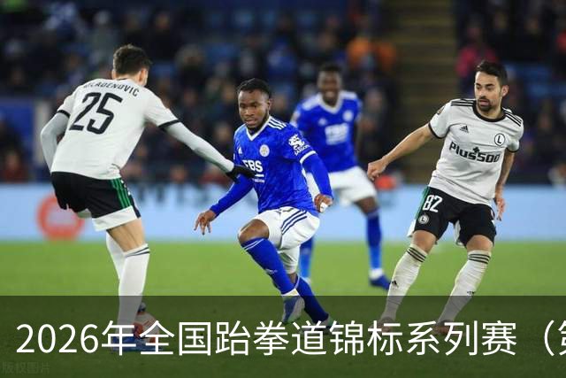 2026年全国跆拳道锦标系列赛（第二站）在广州举行